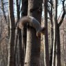 Съемки клипа 